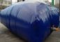 Réservoirs d'eau en plastique résistants de réservoir de vessie de stockage de l'eau de bâche de PVC de l'oreiller 0.7mm de larme grands