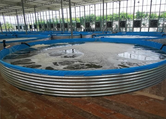 Réservoir galvanisé 30M Diameter Large d'élevage de poissons de bâche d'aquariums de feuille