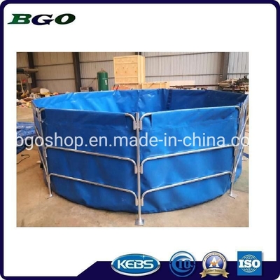 Piscine pliable facile à installer parfaite pour les petits espaces
