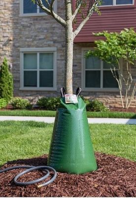 Des sacs d'arbre de 35 gallons qui s'arrosent eux-mêmes