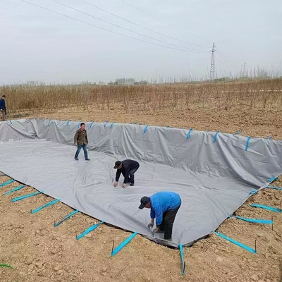 Blisse de collecte des eaux de pluie pour l'agriculture pliable en bâton en PVC