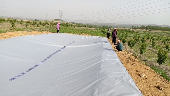 Réservoir de collecte d'eau de pluie en bâches en PVC écologique pour l'agriculture