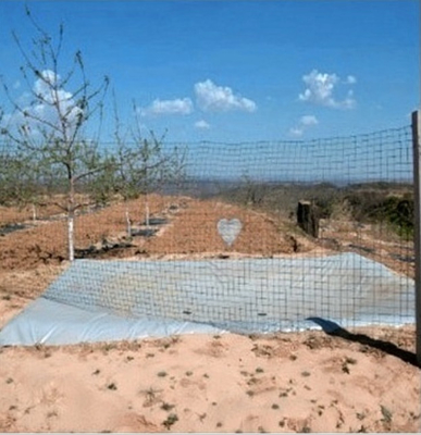 Sac de collecte d'eau de pluie agricole durable pour un stockage efficace