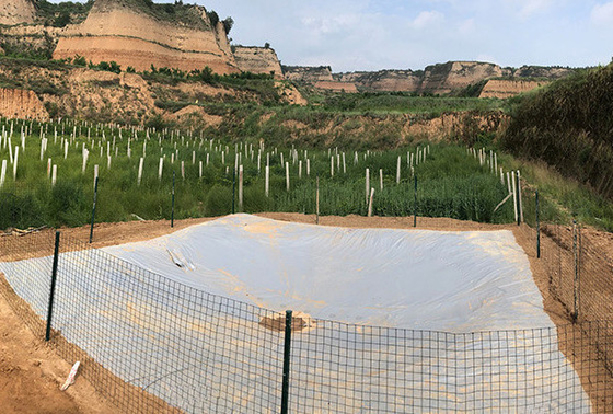 Réservoir de collecte d'eau de pluie en bâches en PVC écologique pour l'agriculture