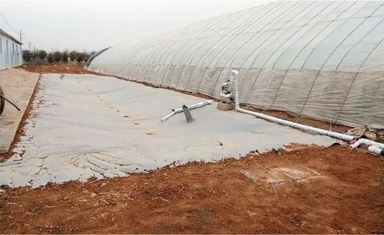 Réservoir de stockage d'eau de pluie en serre pour l'irrigation agricole