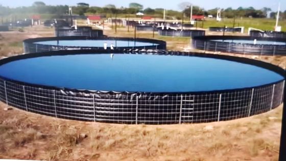 16m Diamètre 301.440 litres étang de poisson ronde pliable étang de poisson en PVC bâche de poisson extérieur