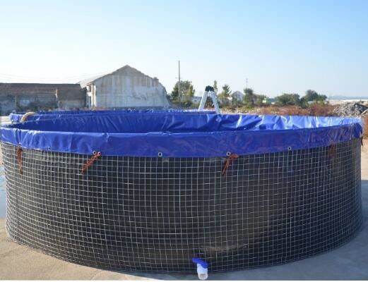 16m Diamètre 301.440 litres étang de poisson ronde pliable étang de poisson en PVC bâche de poisson extérieur
