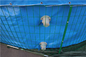 50000 litres pliables de PVC d'étang à poissons de bâche avec la maille en acier