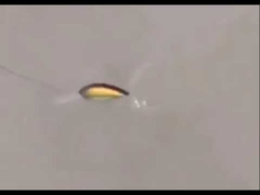 Appâts en plastique nouvel appât de saumon gras appât de mer pêche d'appât dur