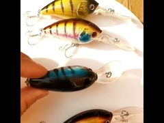 Leurres en plastique, large bavette, poisson-chat, pêche en mer, appât